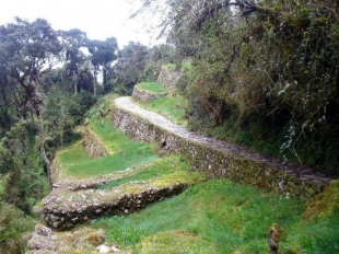 Imagen Camino Real Del Inca Naranjal
